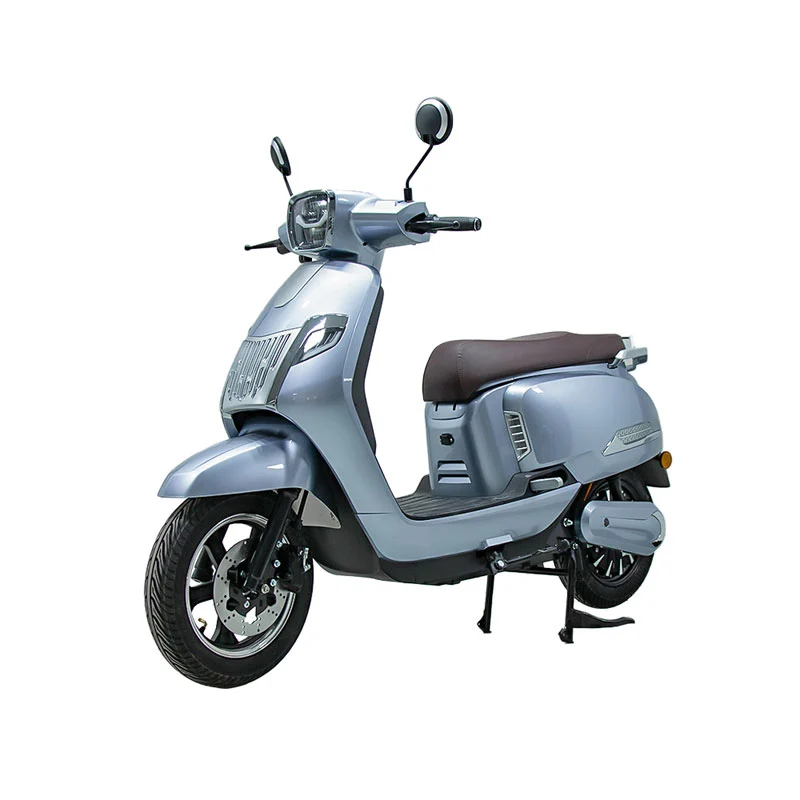 Elektrická motorka pro dospělé 10 palců 800 W motocykl