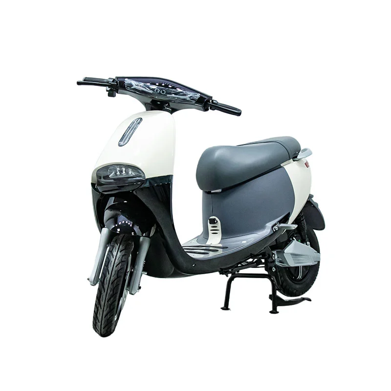 Elektrická motorka s motocyklem 10 palců 1000 W